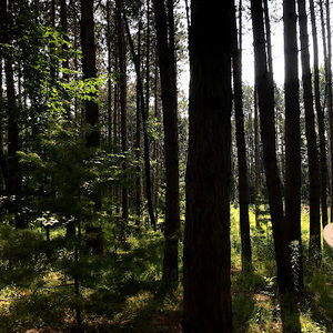 Meet your Posher, Kasey